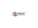 Bergenia Consultancy Services